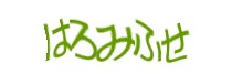 Authentication image